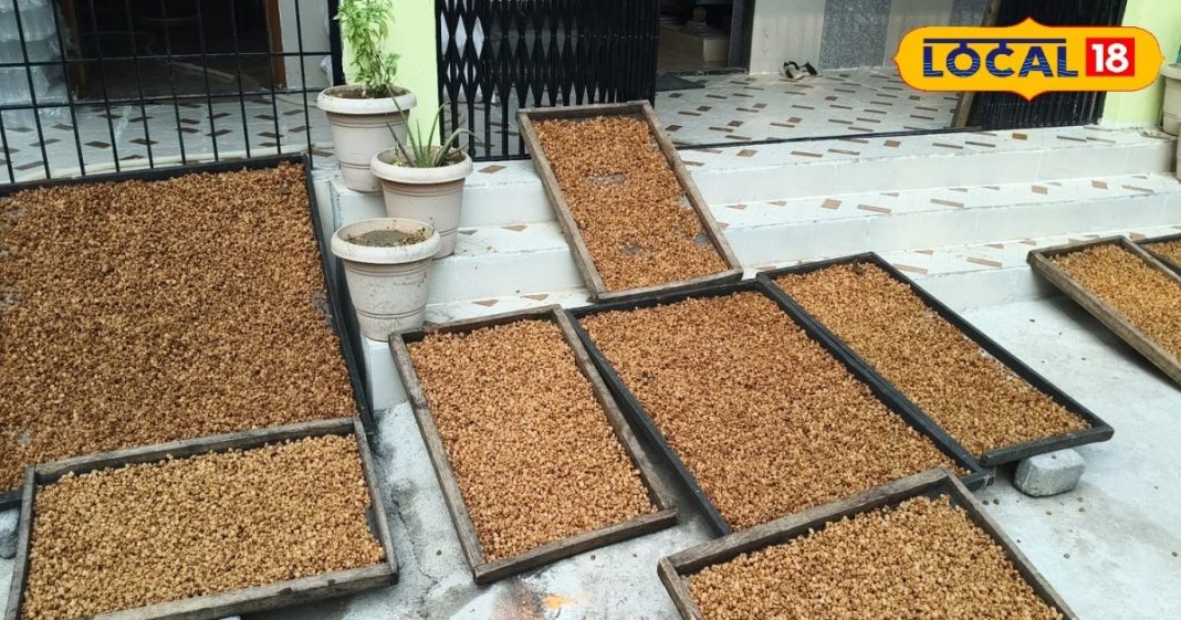 कोदो, रागी और तिल से बन रहा महुआ एनर्जी बार, शुगर फ्री लोग भी ले सकते हैं स्वाद; मार्केट में है अच्छी-खासी डिमांड – Bharat.one हिंदी