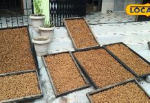 कोदो, रागी और तिल से बन रहा महुआ एनर्जी बार, शुगर फ्री लोग भी ले सकते हैं स्वाद; मार्केट में है अच्छी-खासी डिमांड – Bharat.one हिंदी