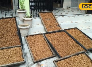 कोदो, रागी और तिल से बन रहा महुआ एनर्जी बार, शुगर फ्री लोग भी ले सकते हैं स्वाद; मार्केट में है अच्छी-खासी डिमांड – Bharat.one हिंदी