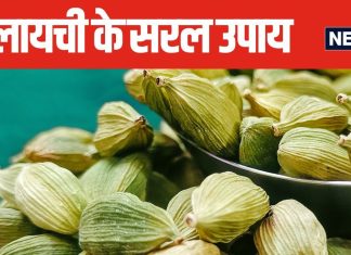 किचन में रखी ये एक चीज है बेहद चमत्कारी, सरल उपाय से खुल जाएंगे भाग्य, नौकरी-व्यापार में मिलेगा लाभ
