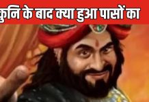 Mahabharat: शकुनि की मृत्यु के बाद कहां गए उसके जादुई पासे, क्या हुआ उनका, कैसे सहदेव ज्योतिष नक्षत्र देख मारा उसे