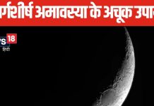 Margashirsha Amavasya 2024: शिवलिंग पर इस धातु के लोटे से चढ़ाएं जल, जीवन में आएगी सुख-शांति और समृद्धि, जानें महत्व