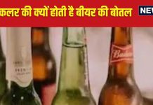 बीयर की बोतलें क्यों होती हैं ग्रीन या ब्राउन कलर की, क्या इससे स्वाद पर पड़ता है असर