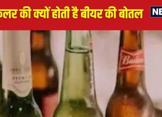 बीयर की बोतलें क्यों होती हैं ग्रीन या ब्राउन कलर की, क्या इससे स्वाद पर पड़ता है असर