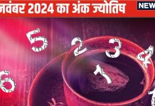 Ank Jyotish 1 November 2024: ये अंक वाले फंसेंगे मुकदमेबाजी के चक्कर में, इन्हें होगा बिजनेस में फायदा, पढ़ें अपना भविष्यफल