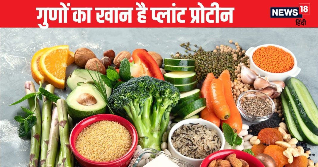 गुणों का खान है ये प्रोटीन, शरीर की ताकत बढ़ाए, मांसपेशियों को बनाए स्ट्रॉन्ग, जानें व्हे प्रोटीन से कैसे है फायदेमंद