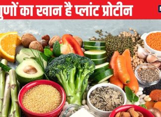गुणों का खान है ये प्रोटीन, शरीर की ताकत बढ़ाए, मांसपेशियों को बनाए स्ट्रॉन्ग, जानें व्हे प्रोटीन से कैसे है फायदेमंद