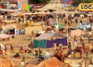 Pushkar fair start from November 2 Brahma loss of Chaturdashi date religious bathing will take place for four