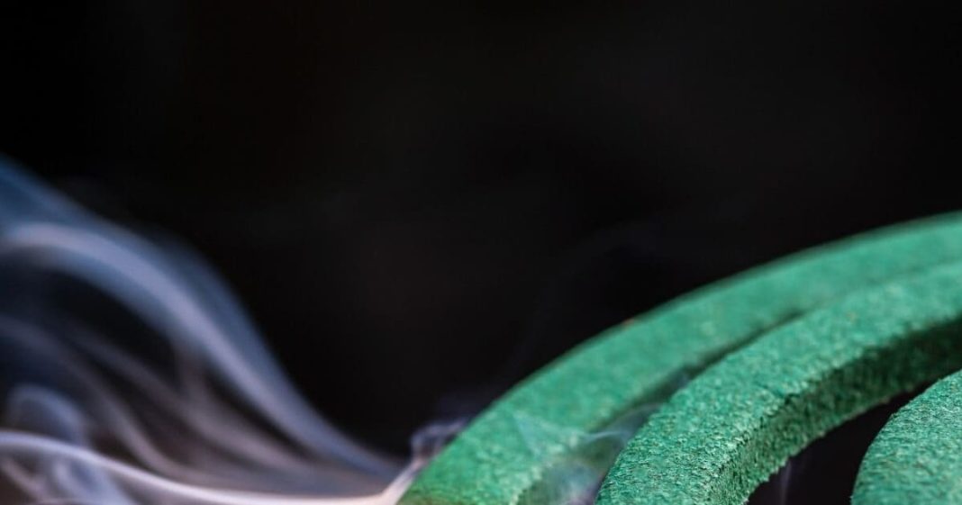 मच्छर भगाने के लिए कमरे में धूप-अगरबत्ती लगाना कितना सही? ये चीजें सेहत पर किस तरह डाल रही है असर