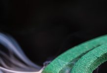 मच्छर भगाने के लिए कमरे में धूप-अगरबत्ती लगाना कितना सही? ये चीजें सेहत पर किस तरह डाल रही है असर