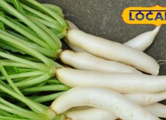 महंगी दवाइयों की जरूरत खत्म कर देगी ये सब्जी! हार्ट से लेकर शुगर तक फायदेमंद