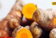 Benefits of raw turmeric on empty stomach in morning relief from many problems sa – Bharat.one हिंदी