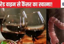 रेड वाइन में पाए जाने वाले कंपाउड से होगा पेट के कैंसर का खात्मा! दवा से ज्यादा कारगर हुआ तो इलाज में मील का पत्थर