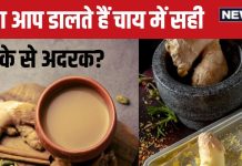 दूध वाली चाय बनाते समय अदरक कब डालनी चाहिए? अधिकतर लोग करते हैं ये गलती, इस तरीके से बनाएंगे तो आएगा Ginger का स्वाद