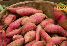 जानें, कैसे शकरकंद से आप अपनी आंखों की सेहत को सुरक्षित रख सकते हैं