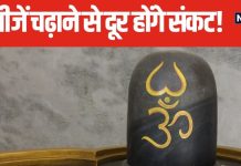Margshirsha Amavasya: जीवन में चाहते हैं सुख-समृद्धि तो शिवलिंग पर चढ़ाएं ये 5 चीजें, मानसिक तनाव से भी मिलेगी मुक्ति!