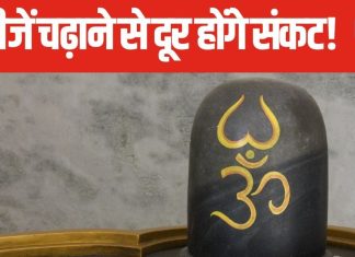 Margshirsha Amavasya: जीवन में चाहते हैं सुख-समृद्धि तो शिवलिंग पर चढ़ाएं ये 5 चीजें, मानसिक तनाव से भी मिलेगी मुक्ति!
