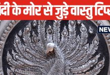 घर या ऑफिस में इस जगह रखें चांदी की मूर्ति, बदल जाएगी आपकी किस्मत, दूर होगा वास्तु दोष!