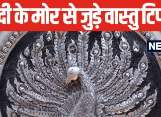 घर या ऑफिस में इस जगह रखें चांदी की मूर्ति, बदल जाएगी आपकी किस्मत, दूर होगा वास्तु दोष!