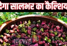 बाहर से हरा, अंदर से सफेद…मिलेगा बस 90 दिन, मर्दों की कमजोरी का रामबाण इलाज है ये फल, ये हैं 8 गजब फायदे