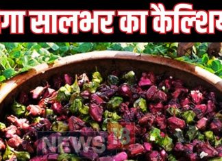 बाहर से हरा, अंदर से सफेद…मिलेगा बस 90 दिन, मर्दों की कमजोरी का रामबाण इलाज है ये फल, ये हैं 8 गजब फायदे