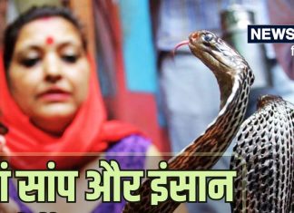 Snake Village: वो गांव जहां सांप होते हैं फैमली मैंबर! कोबरा के लिए हर घर में बनता है नाश्ता, डिनर और बिल