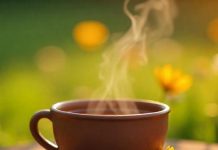 ईरान से भी बेहतर है इस शहर की चाय का टेस्ट, दूध से होती है मात्र 4 मिनट में तैयार, सेहत के लिए वरदान!