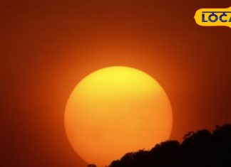 Surya Transit: इस दिन सूर्य धनु राशि में करेंगे प्रवेश, चमकेगी इन राशि के जातकों की किस्मत, मांगलिक कार्य रहेंगे निषेध