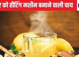 सर्दी में शरीर को गर्माहट की मशीन बना देगी सिर्फ 4 करामाती चीजों से बनी चाय, रात में भी बलबलाएगा तापमान, 1 सप्ताह में ही रिजल्ट