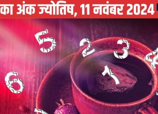 Ank Jyotish 11 November: इस अंक वाले शेयर बाजार से रहें दूर, ये जातक विरोधियों से रहें सतर्क, रोमांस के लिए दिन अच्छा नहीं
