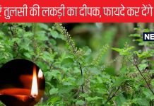 दीपक में जलाएं तुलसी की सूखी लकड़ी, हैरान कर देंगे इससे होने वाले लाभ, बुरी नजर से भी बचाएगा ये उपाय!