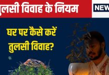 Tulsi Vivah 2024 Niyam: तुलसी विवाह के दिन है भद्रा और पंचक, जानें भगवान शालिग्राम से तुलसी विवाह कराने के नियम, विधि