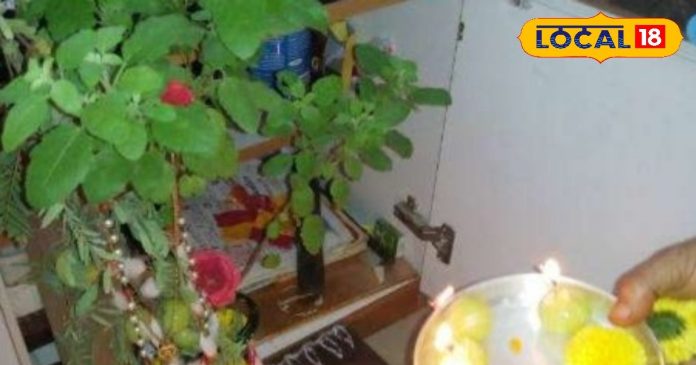 Tulsi Vivah 2024: विवाह में हो रही है देरी...तो इस