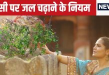 Tulsi Niyam: рддреБрд▓рд╕реА рдХреА рдХрд░рддреЗ рд╣реИрдВ рдкреВрдЬрд╛? рддреЛ рдЬрд▓ рджреЗрддреЗ рд╕рдордп рднреВрд▓рдХрд░ рднреА рди рдХрд░реЗрдВ рдпреЗ 5 рдХрд╛рдо, рд╡рд░рдирд╛…рдирд╛рд░рд╛рдЬ рд╣реЛ рд╕рдХрддреАрдВ рдзрди рдХреА рджреЗрд╡реА