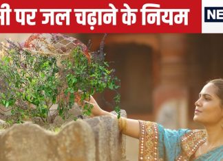Tulsi Niyam: तुलसी की करते हैं पूजा? तो जल देते समय भूलकर भी न करें ये 5 काम, वरना…नाराज हो सकतीं धन की देवी