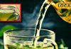 green tea weight loss benefits follow these tips for effective results sa – Bharat.one हिंदी