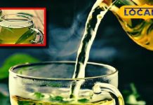 green tea weight loss benefits follow these tips for effective results sa – Bharat.one हिंदी