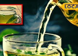 green tea weight loss benefits follow these tips for effective results sa – Bharat.one हिंदी