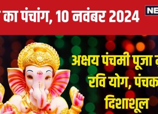 Aaj Ka Panchang 2024: रवि योग में अक्षय नवमी, आंवले के पेड़ की पूजा से पांए पुण्य, जानें मुहूर्त, पंचक, राहुकाल, दिशाशूल