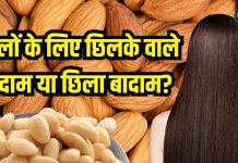 छिलके वाला या छिला बादाम… बालों की ग्रोथ के लिए कौनसा जरूरी? यहां जानें सच्चाई