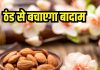 ठंड में बार-बार होते हैं बीमार, इस नट्स में है आपको फिट रखने का जादू, रोजाना खाने से तन-मन रहेगा शांत