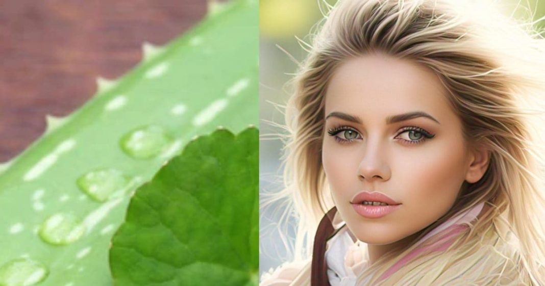 aloe vera skin benefits tips against pollution effects sa
