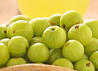 Amla ke Fayde fruit is no less than lifesaver in winter know its benefits