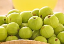health benefits of eating amla in winter immunity digestion skin sa – Bharat.one हिंदी
