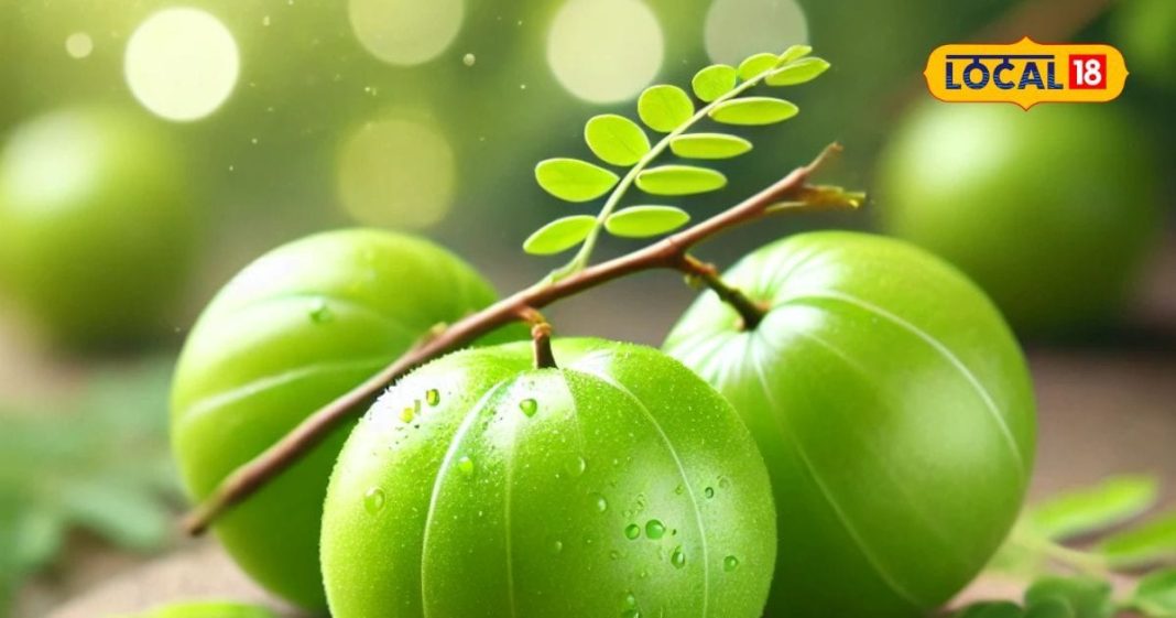 आंवले के फायदे तो सुनें होंगे, लेकिन ये नुकसान भी बहुत करता है, जानिए कैसे