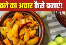 बदलते मौसम में इम्यूनिटी करना है बूस्ट तो खाएं आंवले का अचार, सर्दी-खांसी से रहेंगे दूर, ये रही रेसिपी