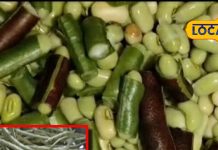 nutrition benefits of moth bean for weight loss bone strength sa