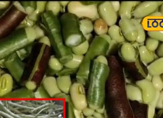 nutrition benefits of moth bean for weight loss bone strength sa