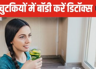 दिवाली के बाद शरीर में भर गए हैं टॉक्सिन्स? घर पर बनाएं 3 देसी ड्रिंक्स, मिनटों में डिटॉक्स होगी बॉडी