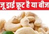 National Cashew Day: काजू इस देश से भारत पहुंचा, सैनिक क्यों रखते थे इसे अपने पास? किन लोगों को यह नहीं खाना चाहिए?